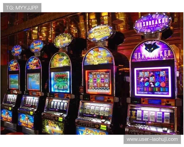 提升老虎机单机游戏体验的实用技巧和攻略分享让你轻松赢大奖